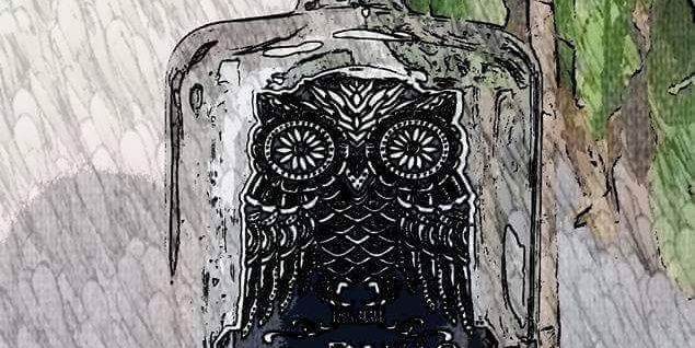 Johnnyhighlife's profile banner image