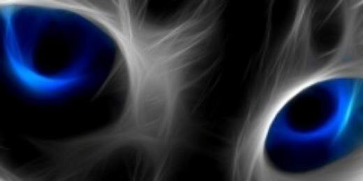 OntolaNef's profile banner image