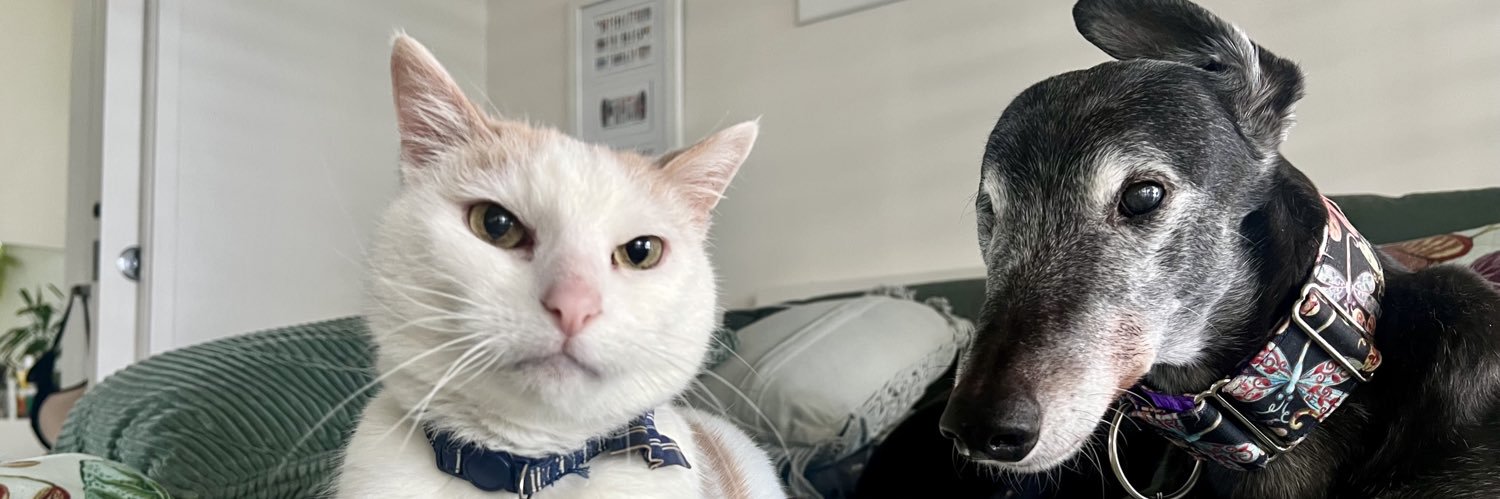 Hayley Bessell she/her banner