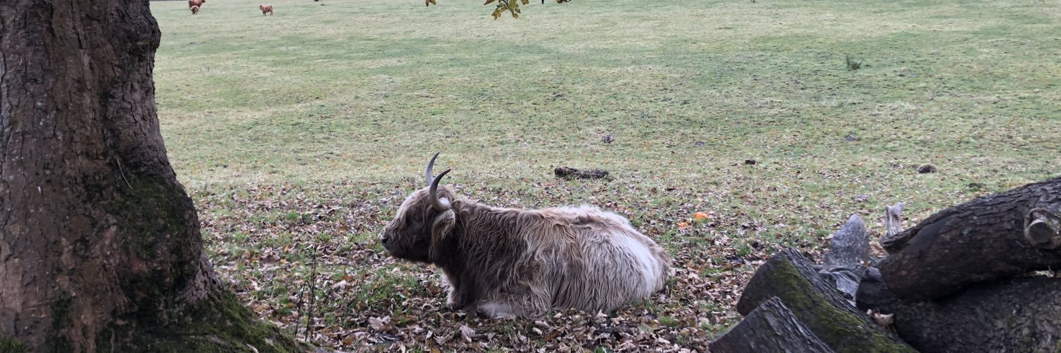 Barney Macintyre banner