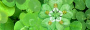 kaze050505's profile banner image