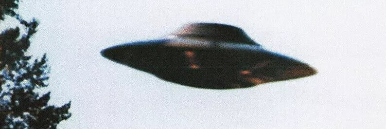 Hans Hermanns banner