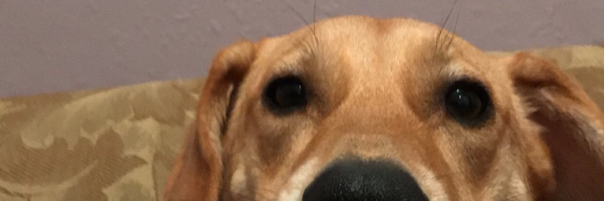 WellsBrady's profile banner image