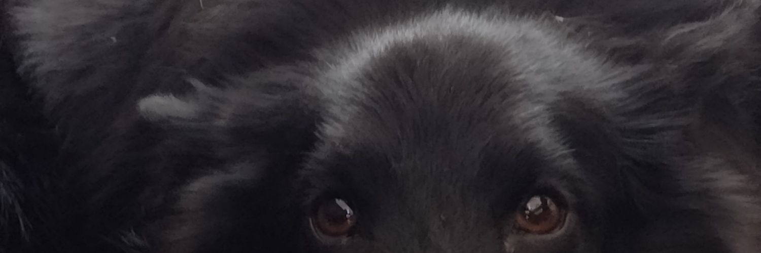 Manickkraj's profile banner image