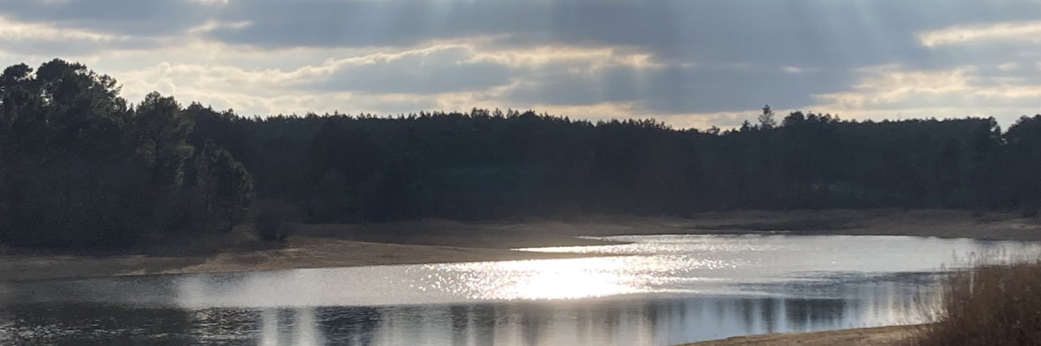 ruthseaside's profile banner image