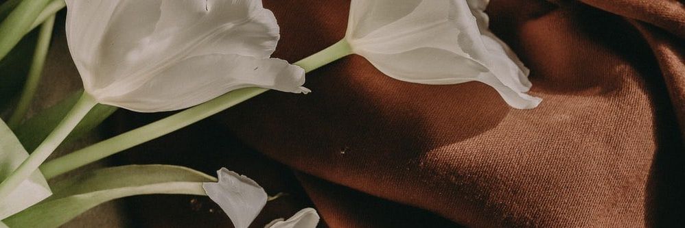 springdayskiss's profile banner image