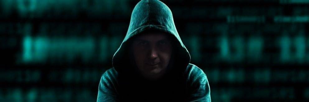 Grzegorz Vipowski banner