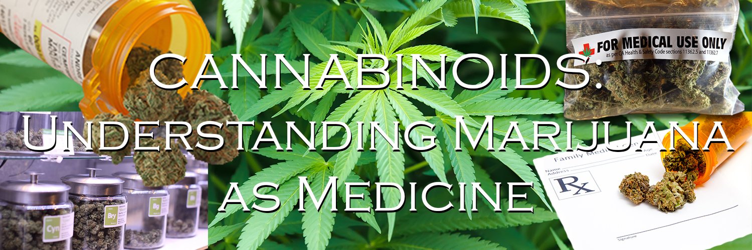 MedMarFilm's profile banner image