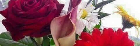 Muhammad_246609's profile banner image