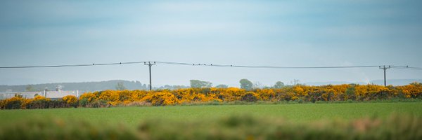 ssencommunity Profile Banner