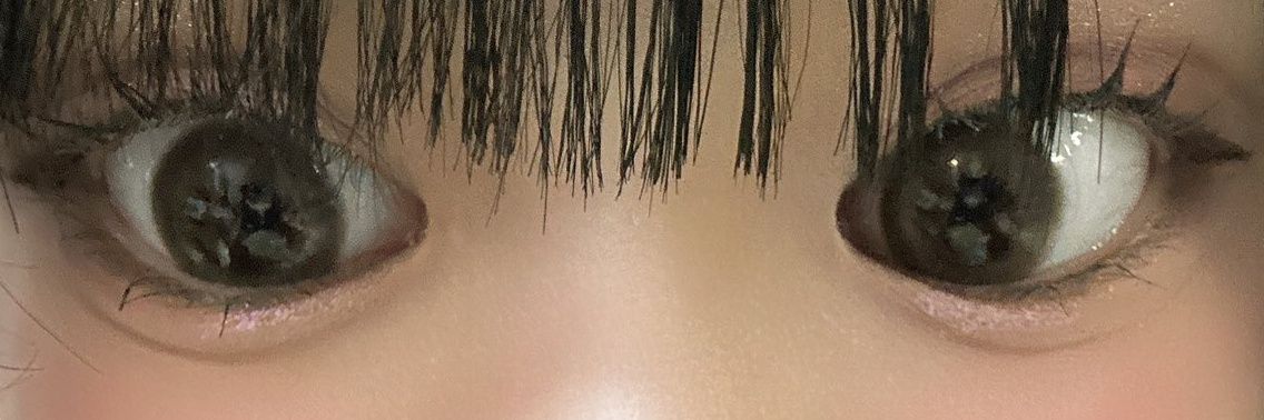 しょうぴたんちゃん@Sucre.C banner