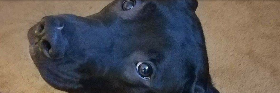sockhead_1's profile banner image