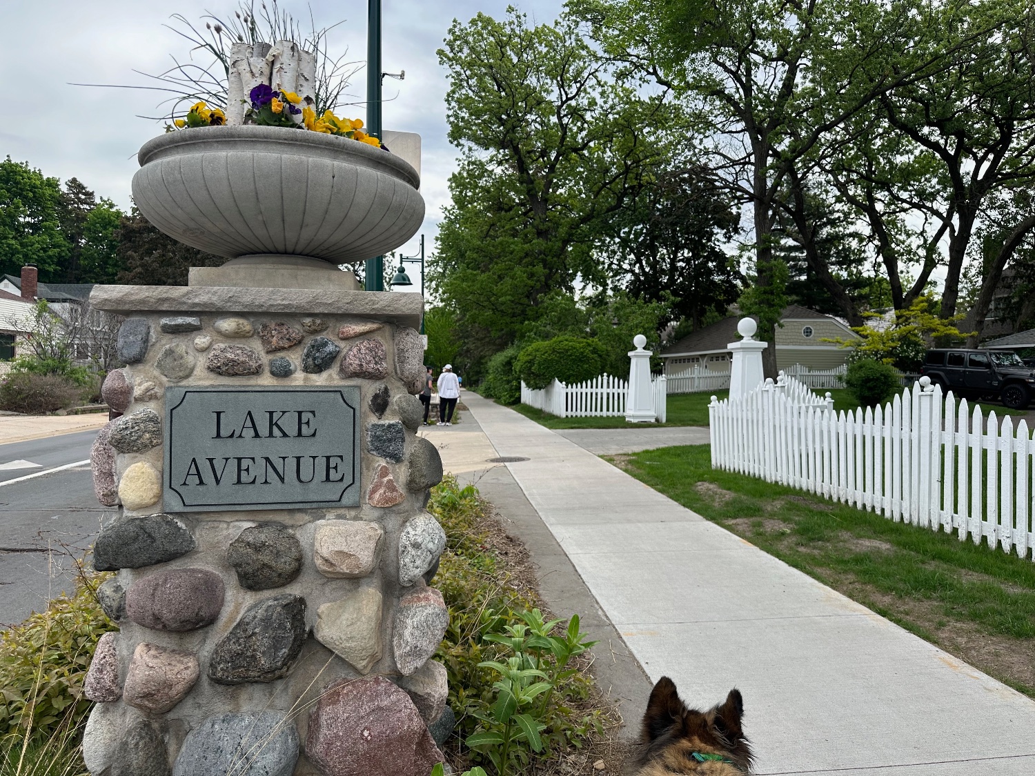 Lynn Ingrid Nelson banner