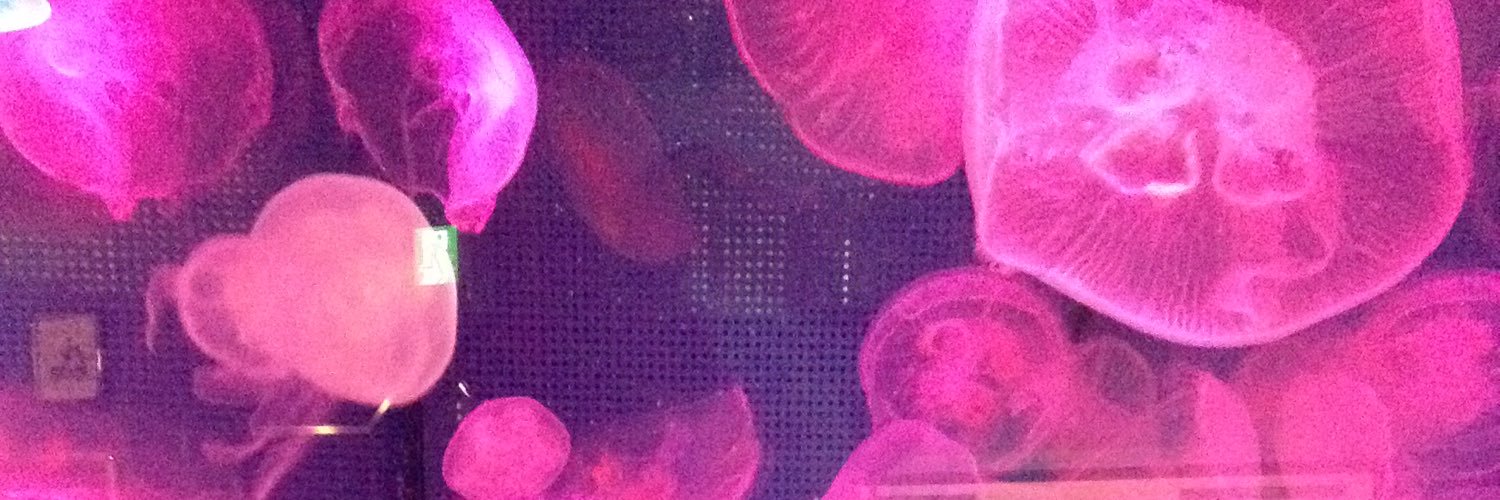 谷洋介 banner