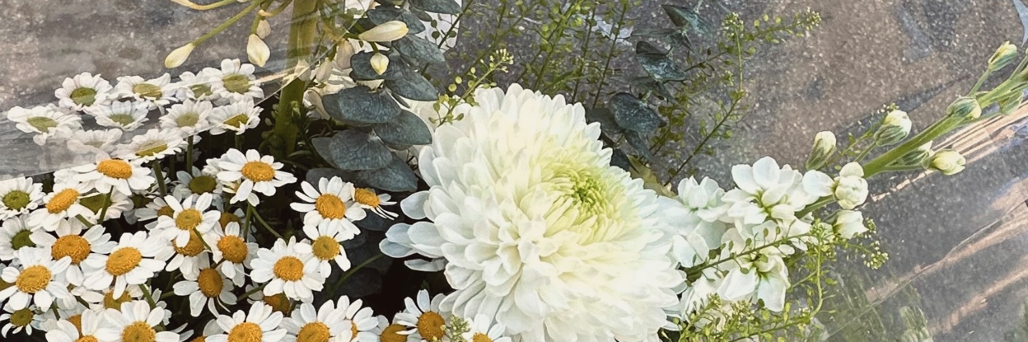 Emmi Tiira banner