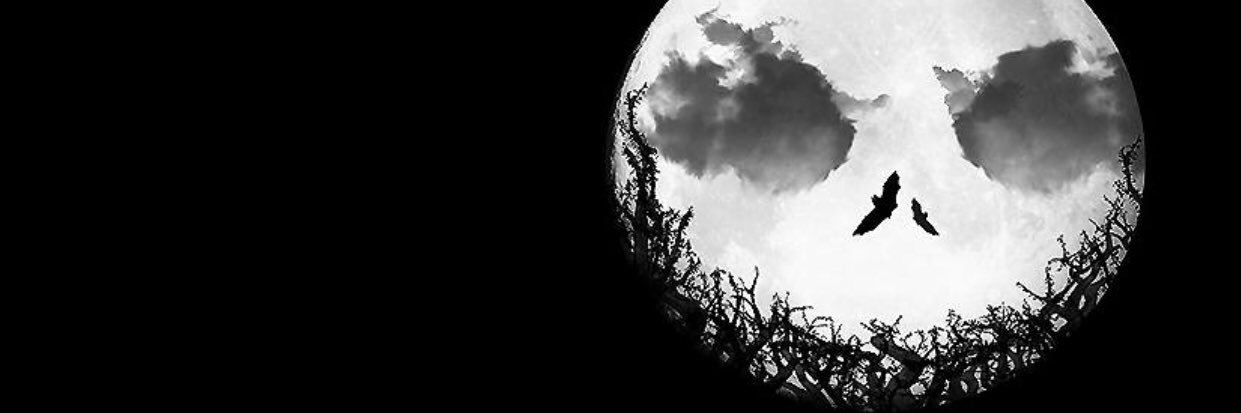Brat6801's profile banner image