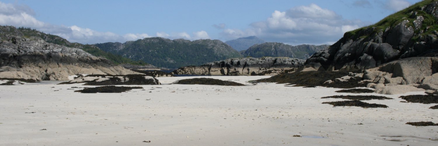 Sarah Davidson banner