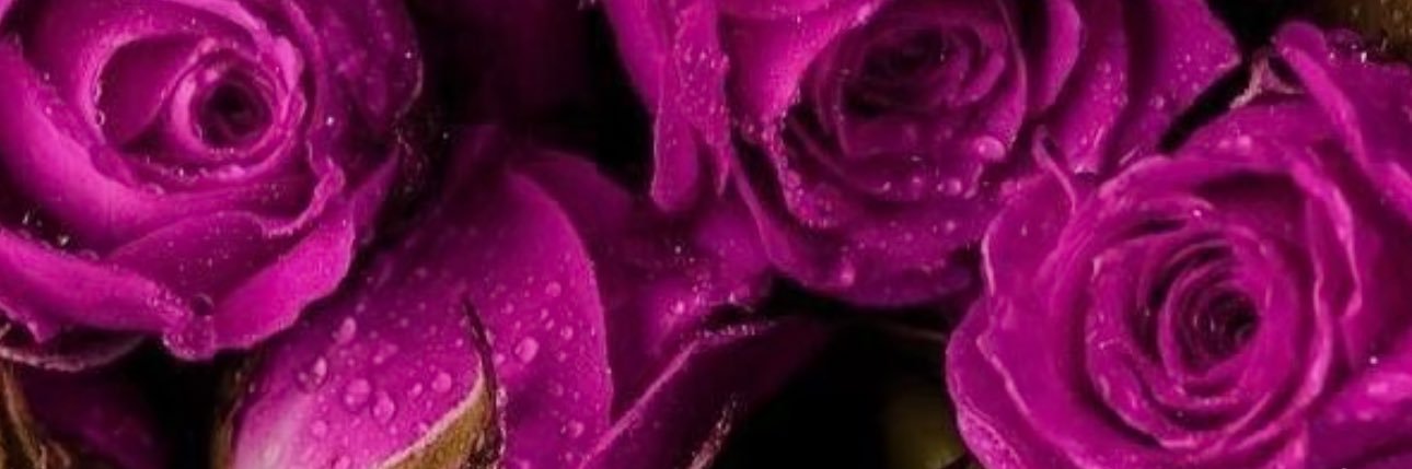 _LoveCarter's profile banner image