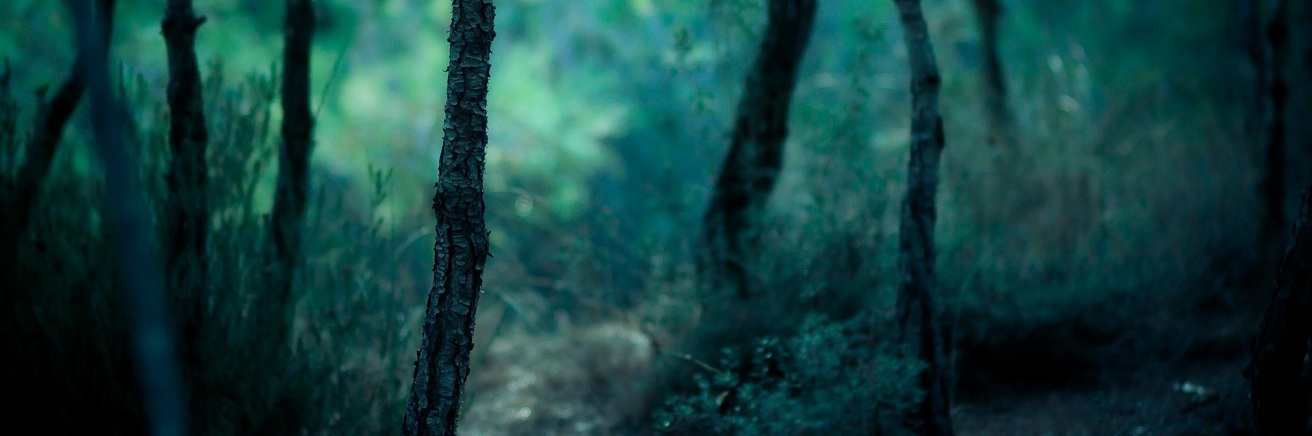 marsew_'s profile banner image