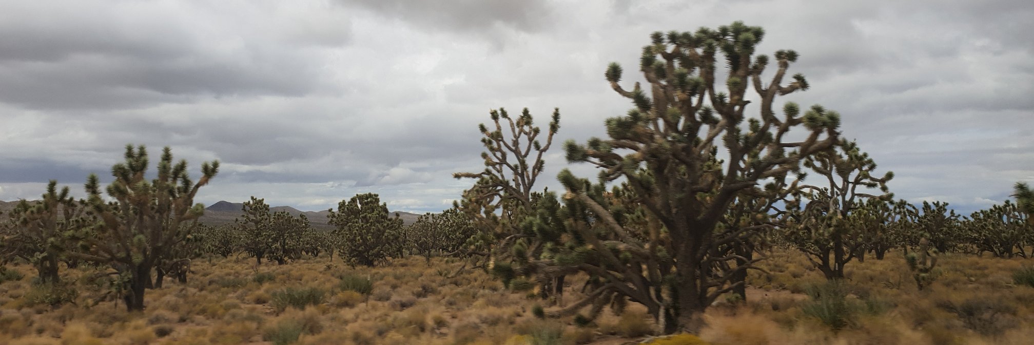 SamBuckell's profile banner image