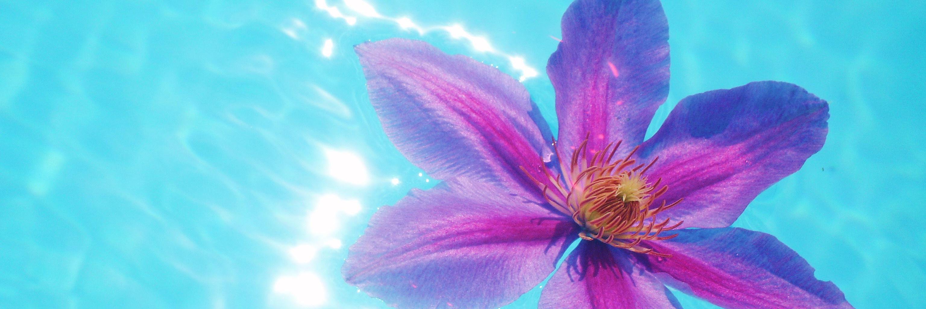straycatsmum's profile banner image