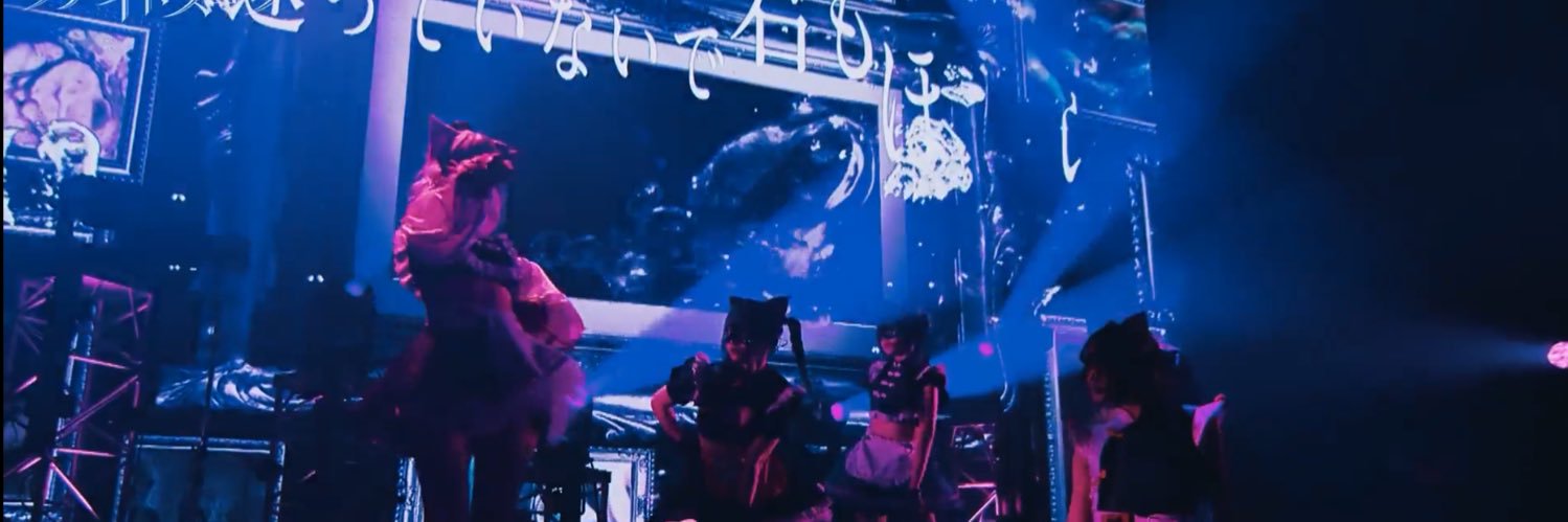 ぴょん吉🐸🎶 banner