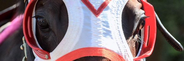 TeamBaltas Profile Banner