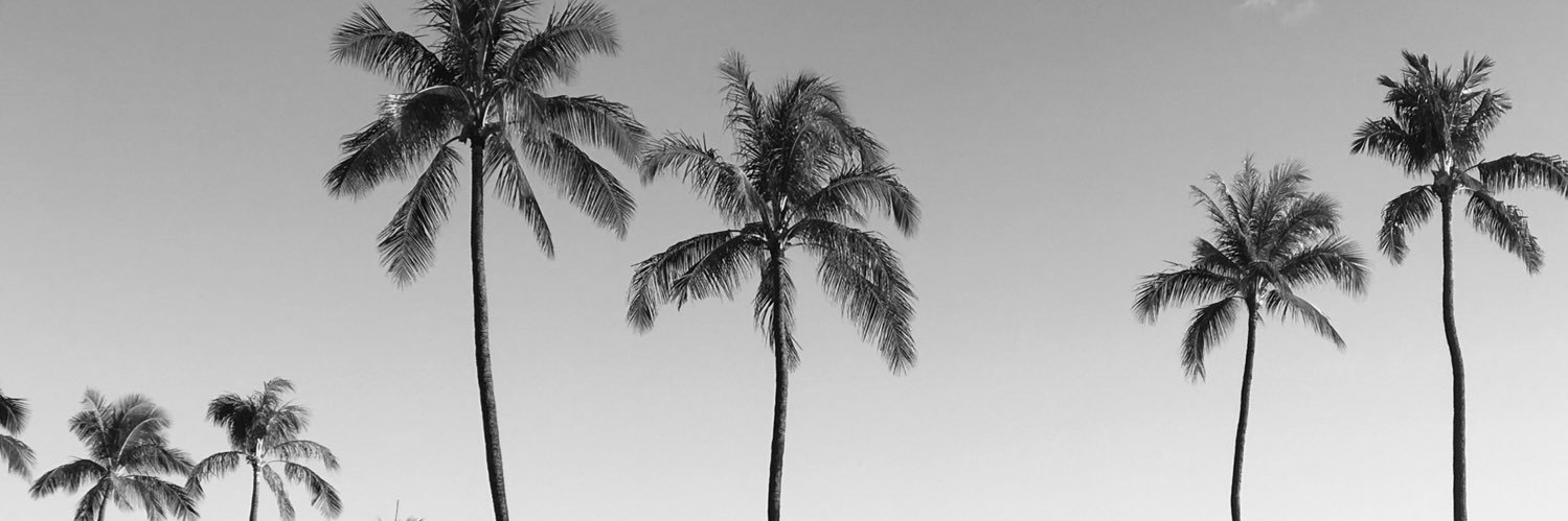 cassjens's profile banner image