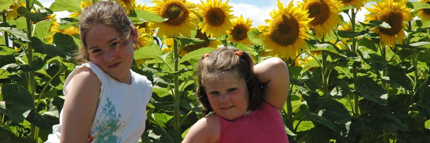 Chloehsrt's profile banner image