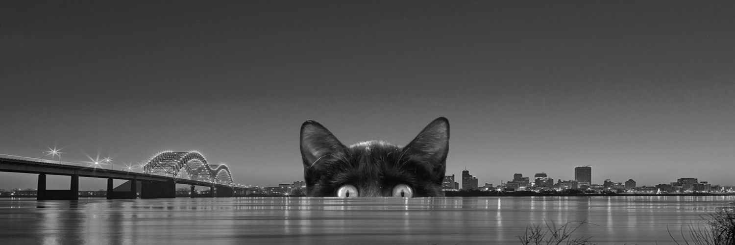 Mattikaze's profile banner image