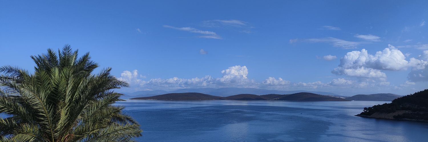 шизоледи banner