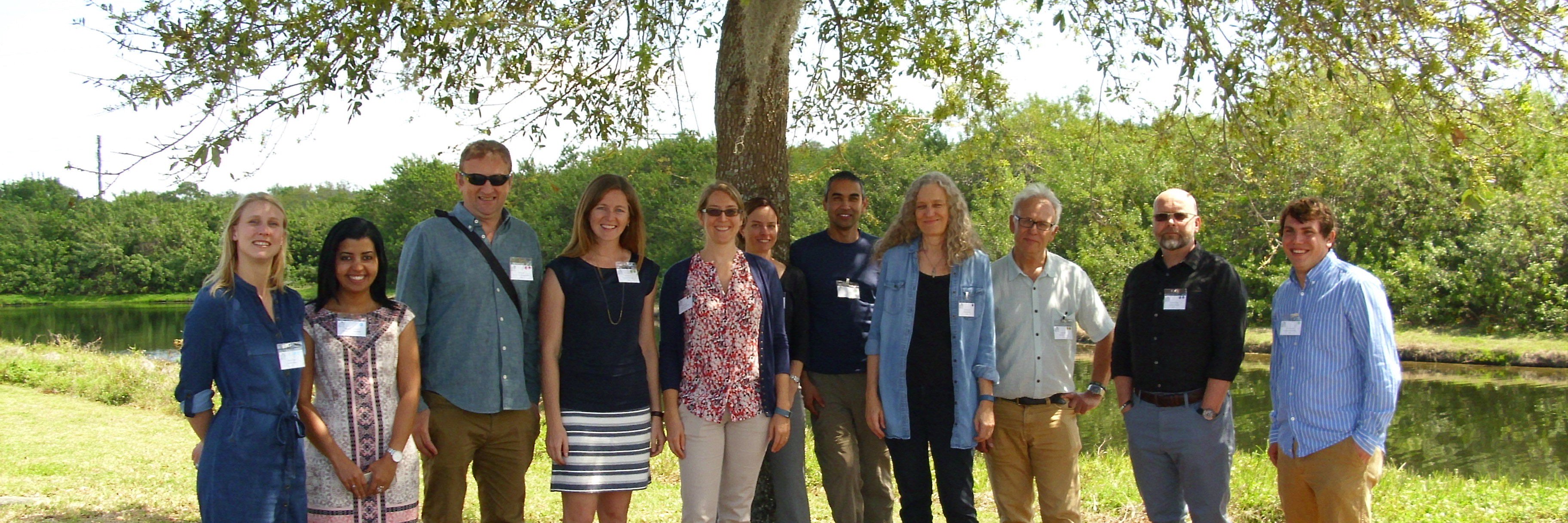 Vectorbite RCN banner