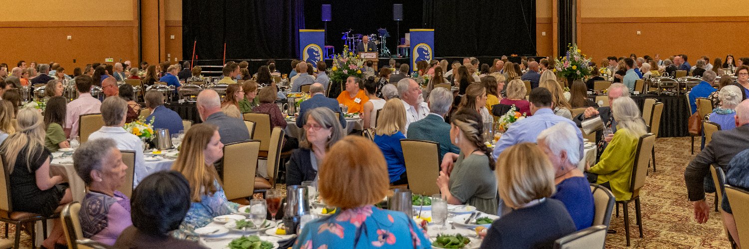 McNeese Foundation banner