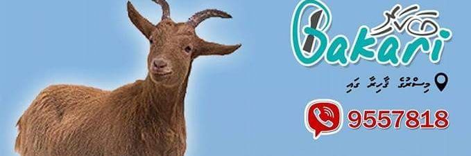 bakarimv's profile banner image