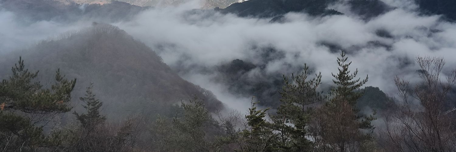 徒花の棘 banner