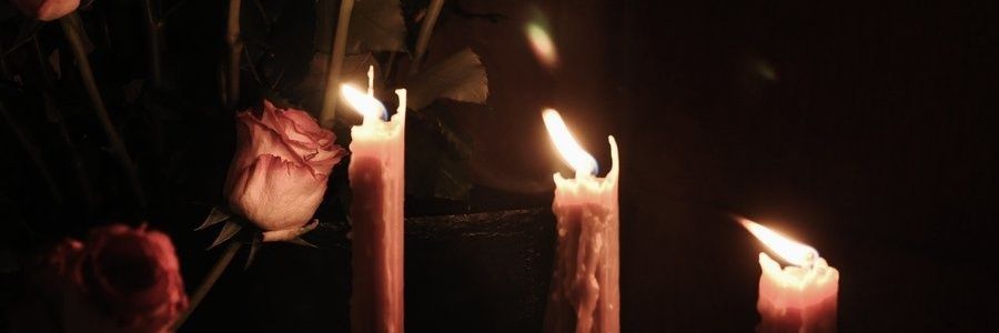 ntrxpyy's profile banner image
