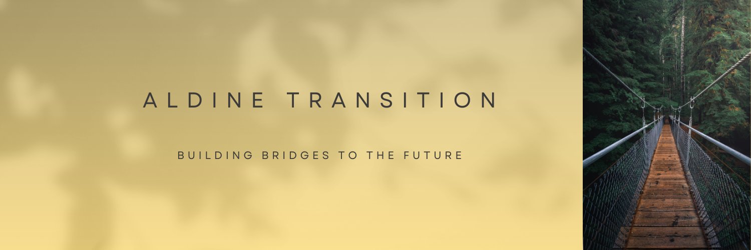 Aldine Transition Specialists banner