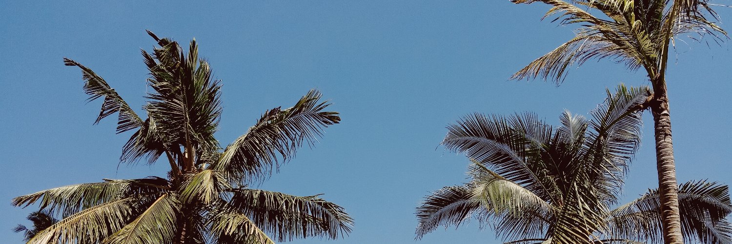 nisrinis's profile banner image