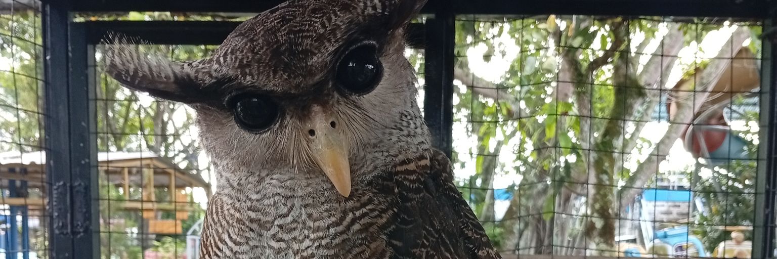 kubiill's profile banner image