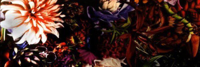 1susesi's profile banner image