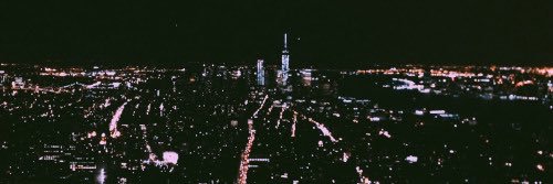 PlaidedVirtue's profile banner image