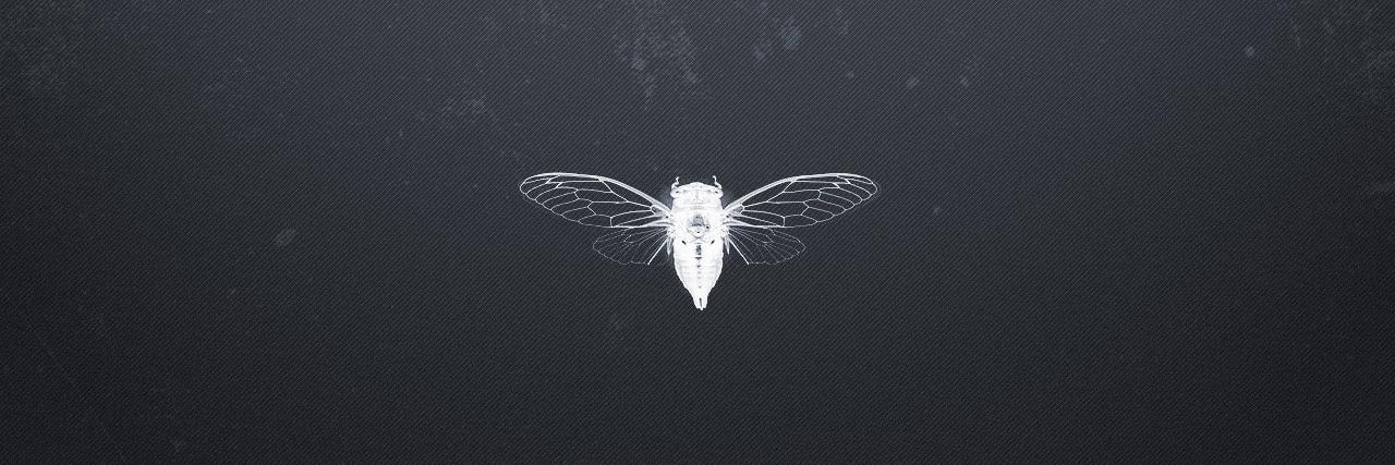 Fubarjr's profile banner image