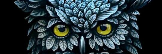 hanssof's profile banner image