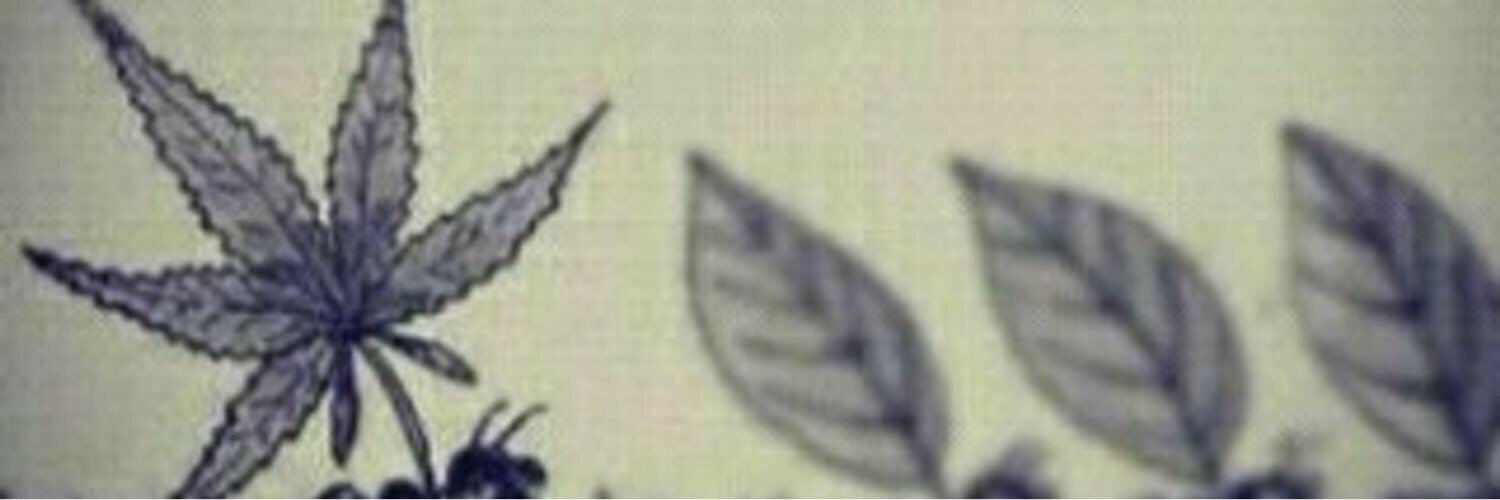 yosefs1's profile banner image