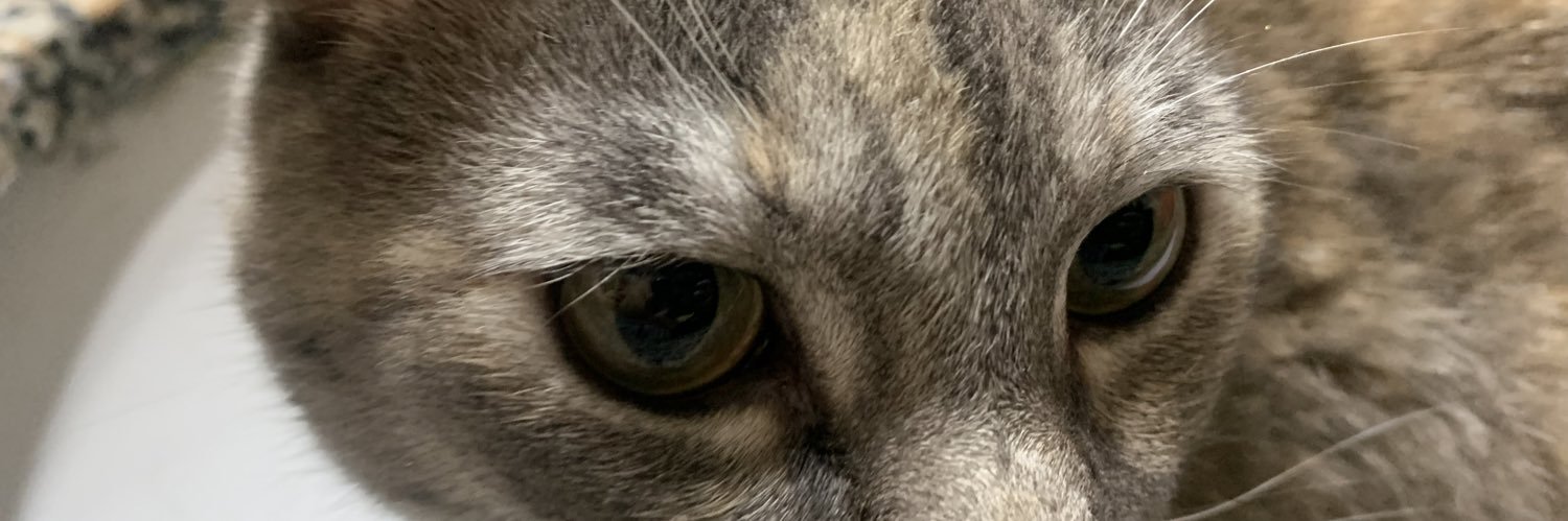 isaintreal's profile banner image