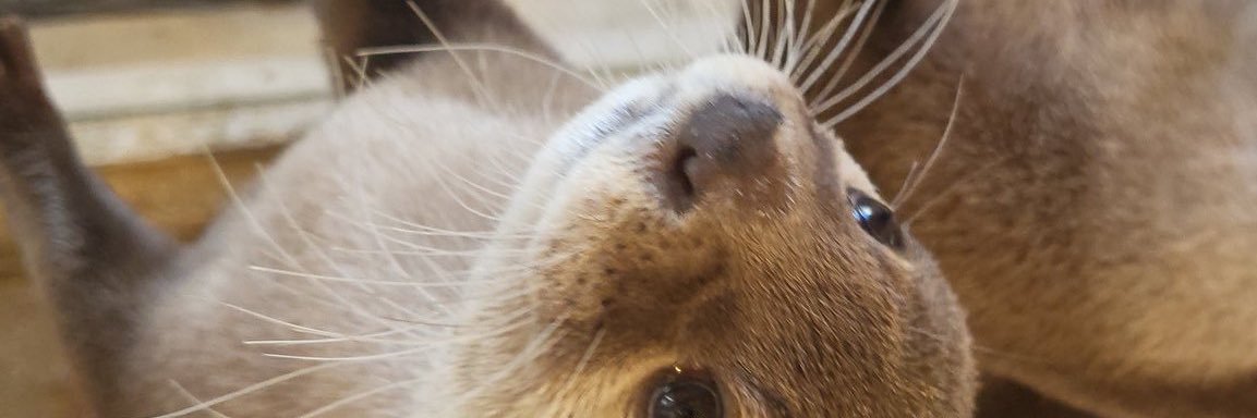 0719Last's profile banner image