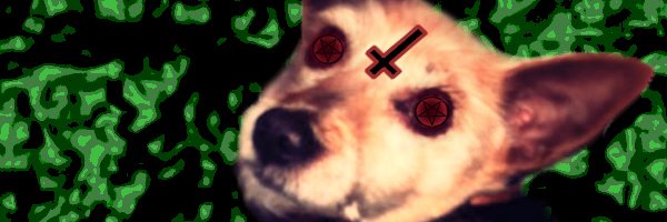 bo_llito's profile banner image