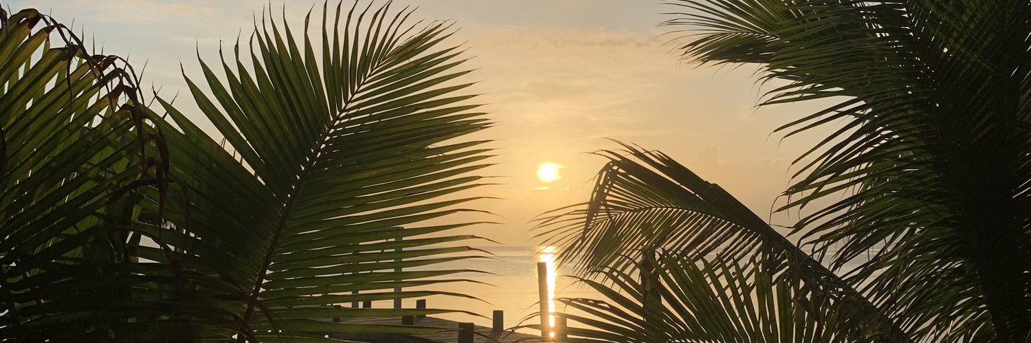 ladynembhard's profile banner image