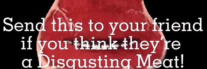 ... dashie.bsky.social banner