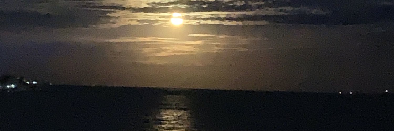 mind_closing's profile banner image